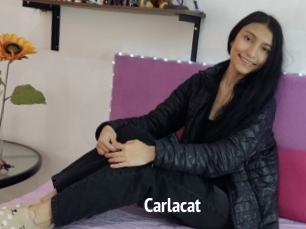 Carlacat