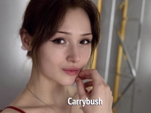 Carrybush