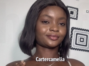 Cartercamelia