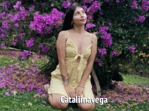 Cataliinavega