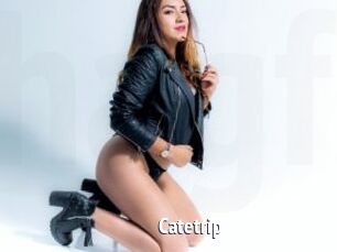 Catetrip