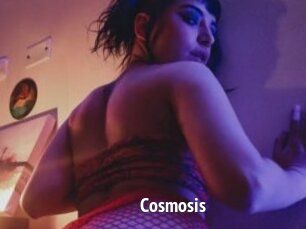 Cosmosis