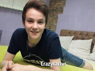 Crazycactus