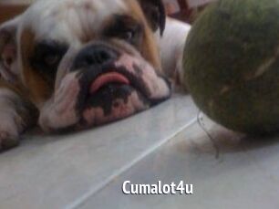 Cumalot4u