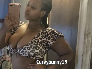 Curvybunny19