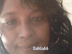 Dahlia66