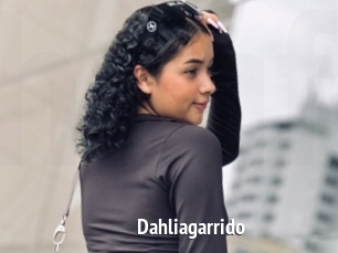 Dahliagarrido