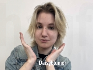 Daisyblumer
