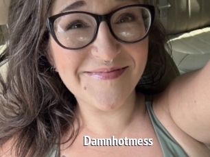 Damnhotmess