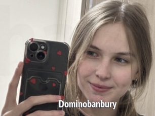 Dominobanbury