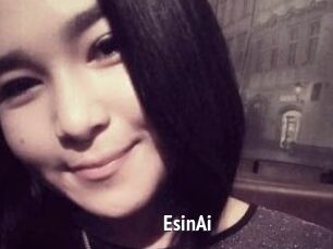 EsinAi