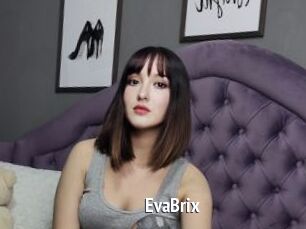 EvaBrix