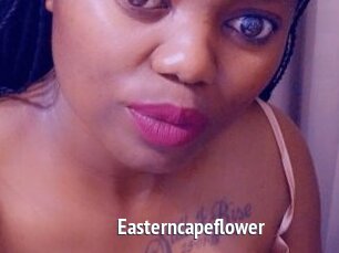 Easterncapeflower