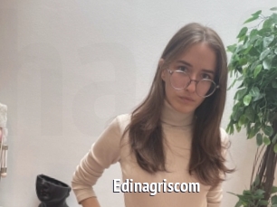 Edinagriscom