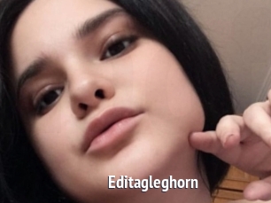 Editagleghorn