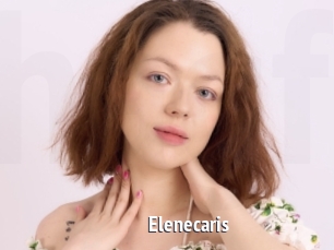 Elenecaris
