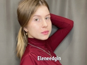 Eleneedgin
