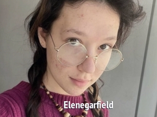 Elenegarfield