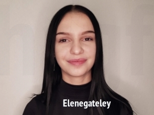 Elenegateley