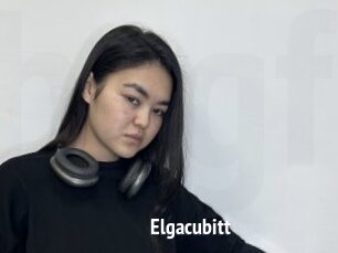 Elgacubitt