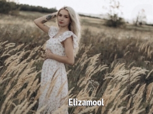 Elizamool