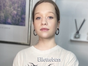 Ellettebuss