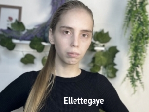 Ellettegaye