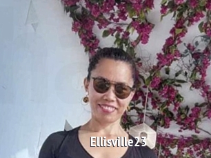 Ellisville23