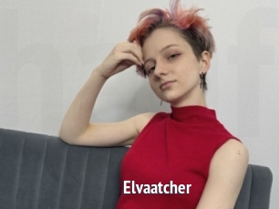 Elvaatcher