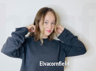 Elvacornfield