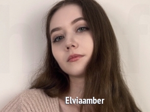 Elviaamber