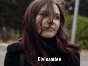 Elvinaatlee