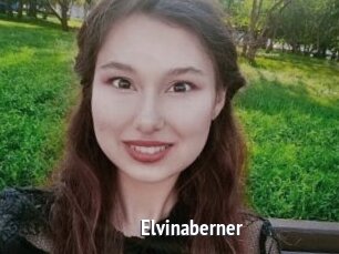 Elvinaberner