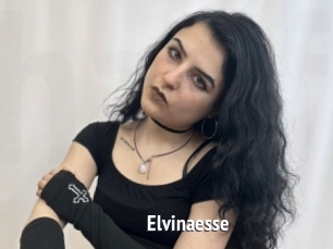 Elvinaesse