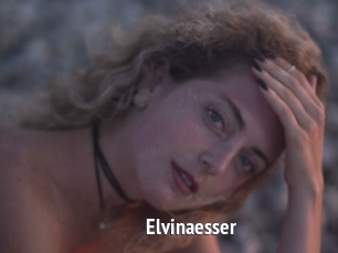 Elvinaesser