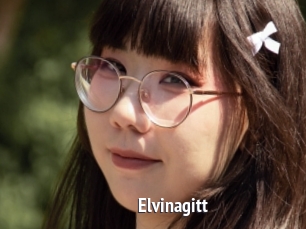 Elvinagitt