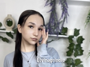 Elvinagrindle