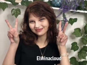 Elwinacloud