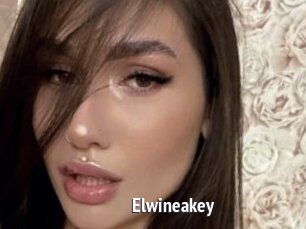 Elwineakey