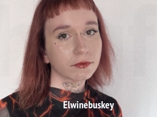Elwinebuskey