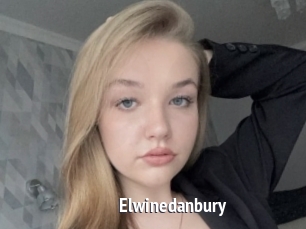 Elwinedanbury