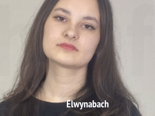 Elwynabach