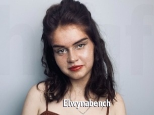 Elwynabench