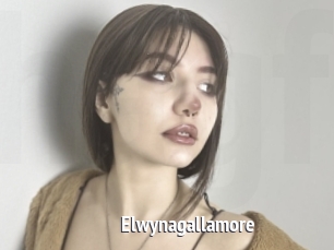 Elwynagallamore