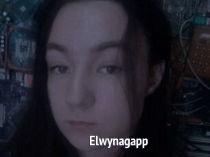 Elwynagapp