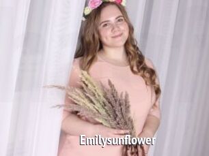 Emilysunflower