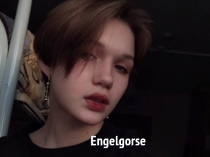 Engelgorse