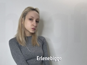 Erlenebigge
