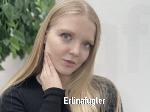 Erlinafugler