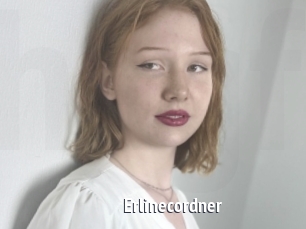 Erlinecordner